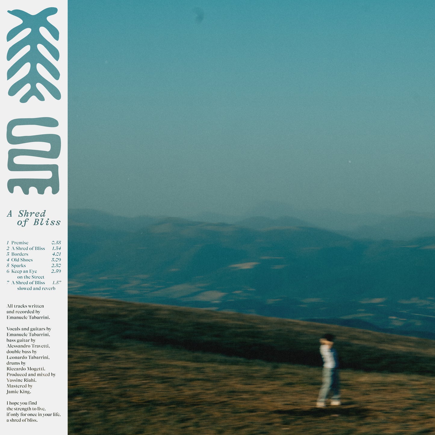 “A Shred of Bliss” Vinyl